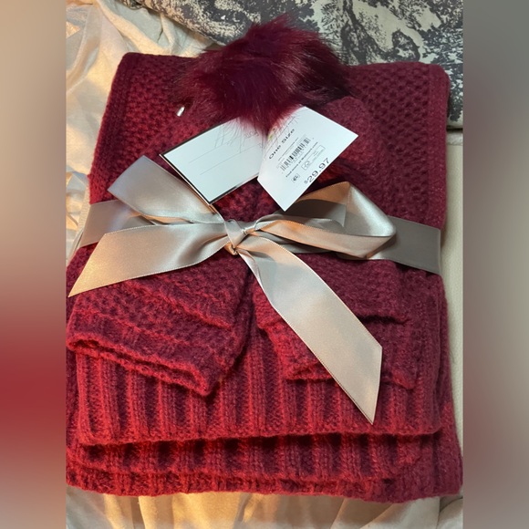 Scarf ,Hat and gloves Set Burgundy NWT - Picture 1 of 5